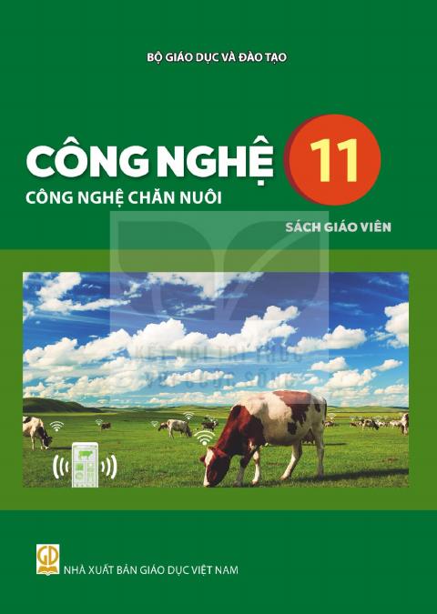 Sách giáo viên Công nghệ 11 - Công nghệ chăn nuôi - Kết nối tri thức 2026-2027